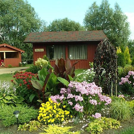 Villa Eko Oaze à Pērkone Extérieur photo