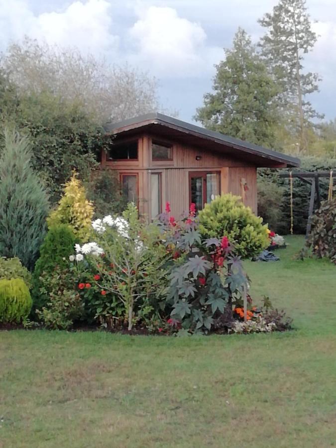 Villa Eko Oaze à Pērkone Extérieur photo