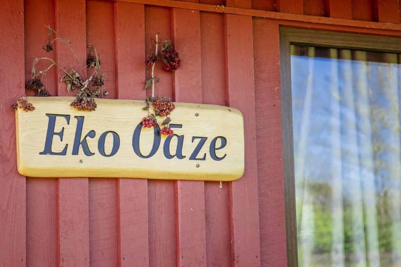 Villa Eko Oaze à Pērkone Extérieur photo